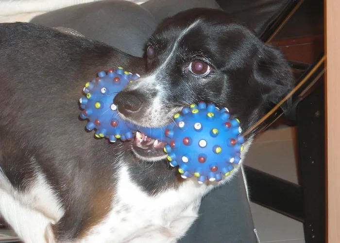 Astoria Szálloda 3*